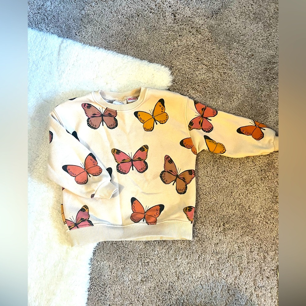 Zara Toddler Sweatshirt